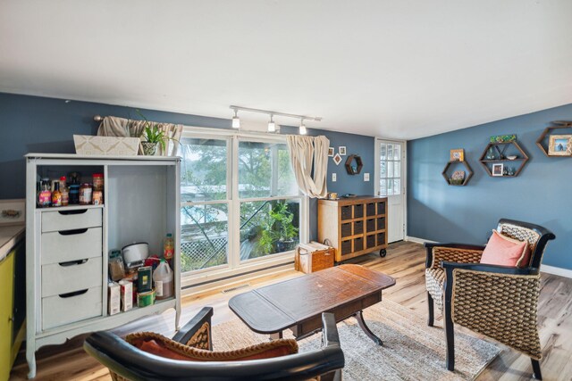 living room featuring hardwood / wood-style flooring and track lighting