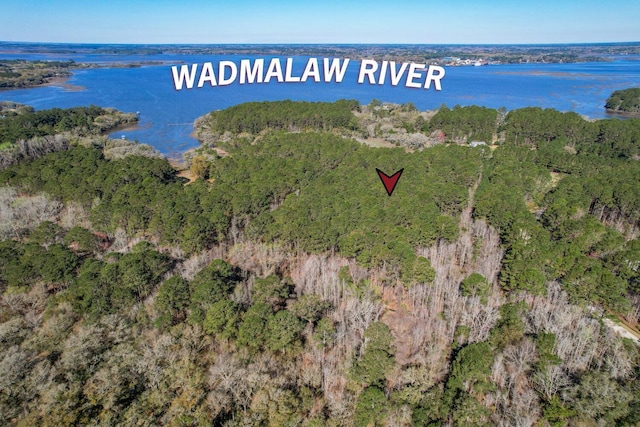 30A Admiral Blake Ln, Wadmalaw Island SC, 29487 land for sale