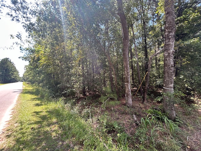 Listing photo 3 for LOT4 Brewer Rd, Summerville SC 29483