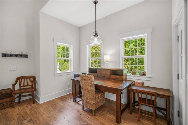 dining room featuring wood finished floors, healthy amount of natural light, baseboards, and an office area