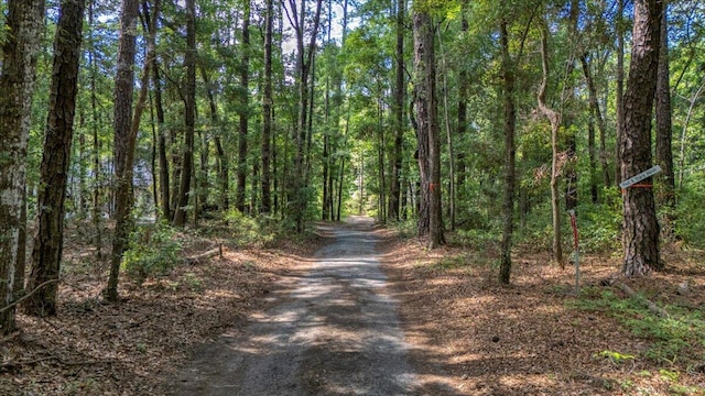 view of road featuring a forest view