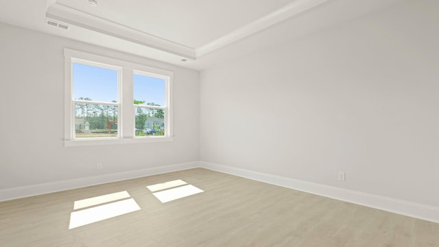 205 Bilge Rd, Ridgeville, SC 29472 - unfurnished room featuring light wood-style flooring and a raised ceiling