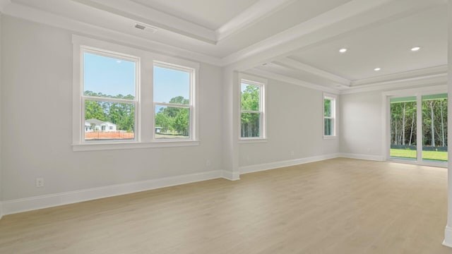 205 Bilge Rd, Ridgeville, SC 29472 - unfurnished room with a tray ceiling, plenty of natural light, light wood-style flooring, ornamental molding, and recessed lighting