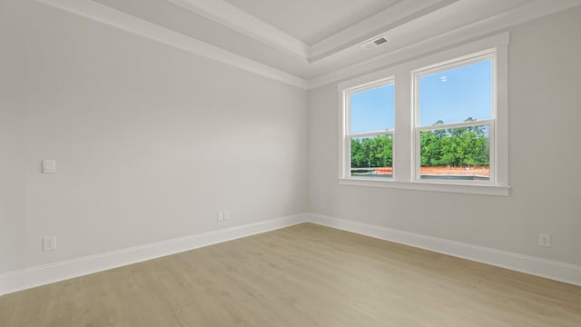 205 Bilge Rd, Ridgeville, SC 29472 - empty room with light wood finished floors and a tray ceiling