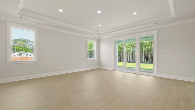205 Bilge Rd, Ridgeville, SC 29472 - empty room featuring a tray ceiling, light wood-style floors, and recessed lighting