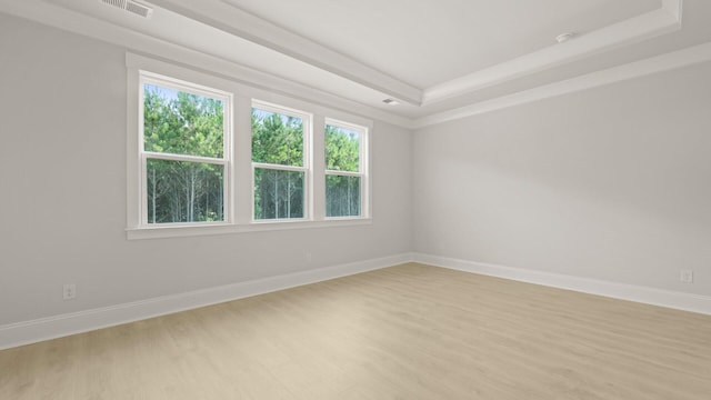 205 Bilge Rd, Ridgeville, SC 29472 - empty room featuring light wood finished floors and a tray ceiling