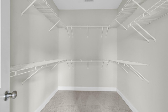 spacious closet featuring carpet flooring