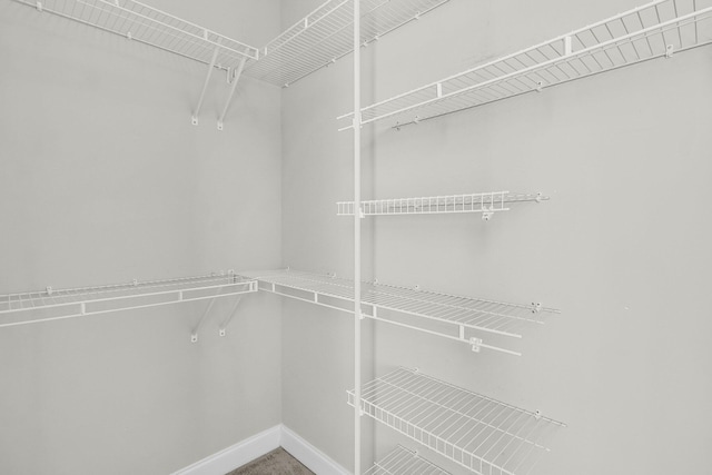 view of spacious closet