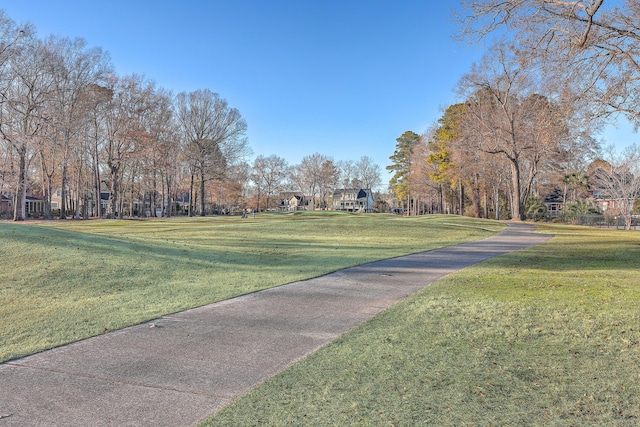 view of community with a yard