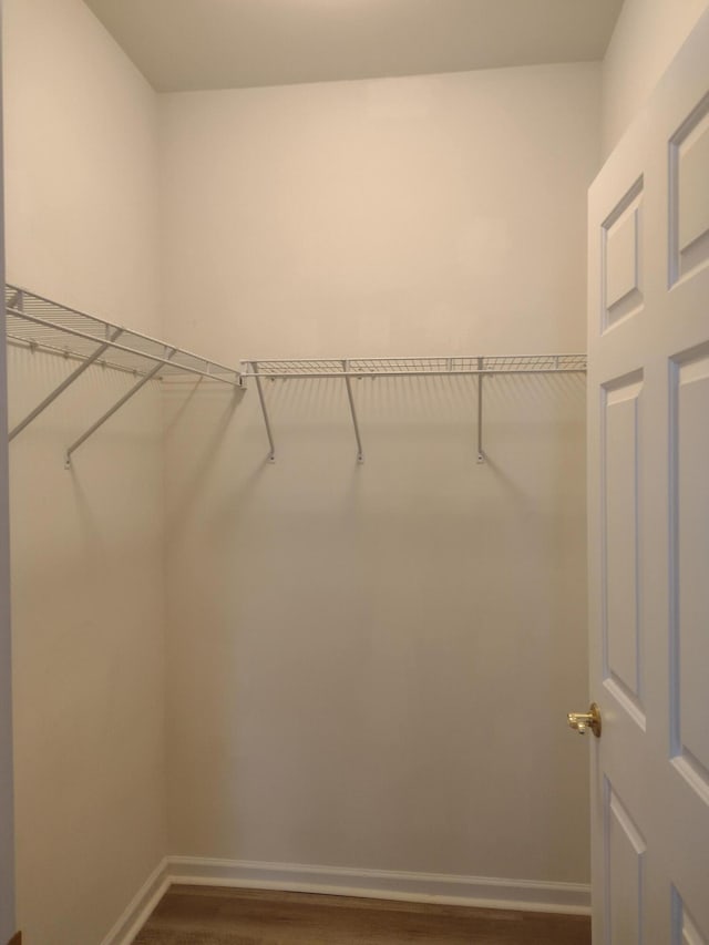 walk in closet with wood finished floors