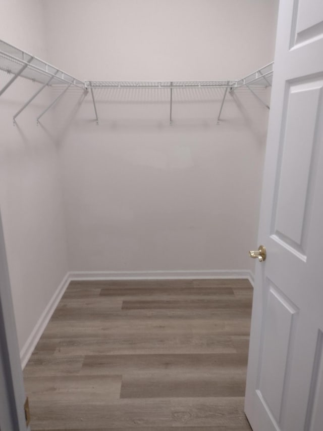 walk in closet featuring wood finished floors