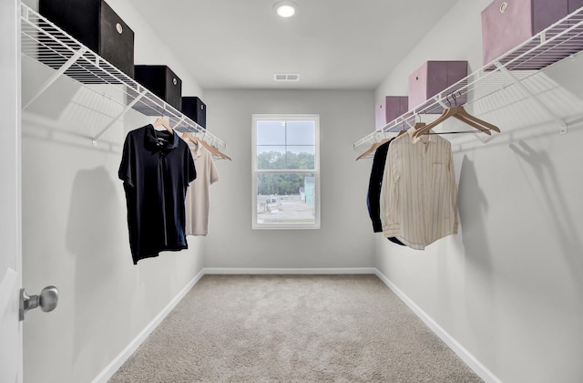 spacious closet featuring carpet