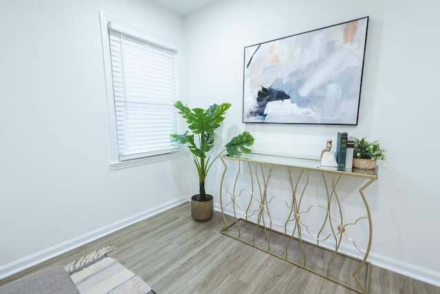 detailed view of baseboards and wood finished floors
