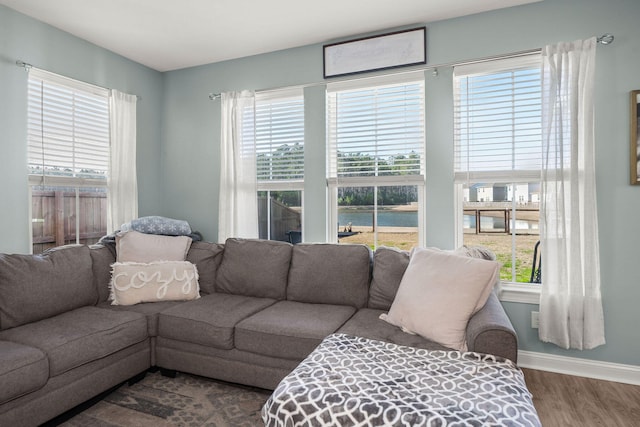 living room featuring hardwood / wood-style floors