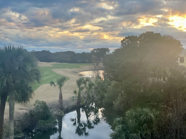 5802 Palmetto Dr Unit B 314, Isle Of Palms, SC 29451 - water view with a golf club