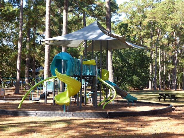 view of jungle gym