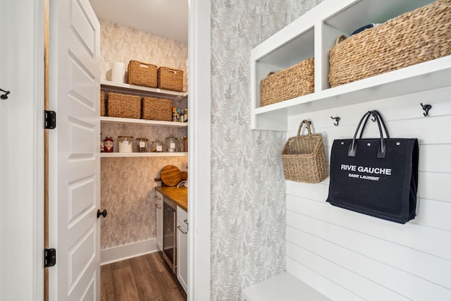 mudroom featuring dark hardwood / wood-style floors