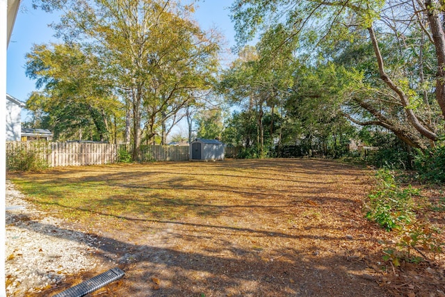 view of yard featuring a storage unit