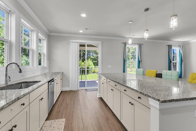 404 Bowstring Dr, Huger, SC 29450 - kitchen featuring a sink, wood finished floors, plenty of natural light, dishwasher, and ornamental molding