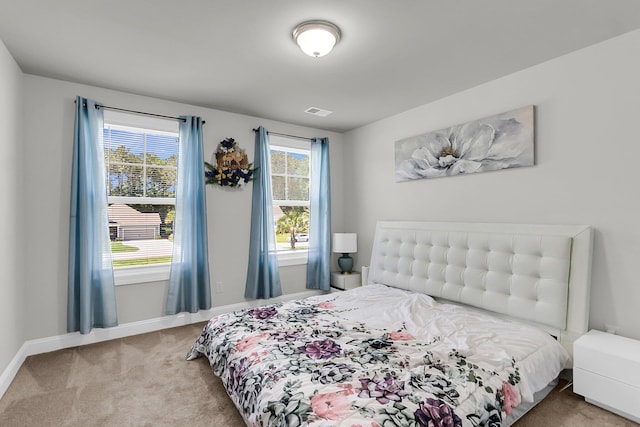404 Bowstring Dr, Huger, SC 29450 - bedroom with carpet flooring and baseboards