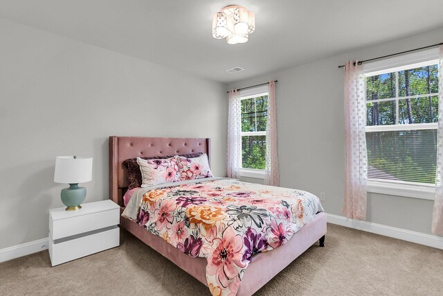 404 Bowstring Dr, Huger, SC 29450 - bedroom featuring carpet and baseboards