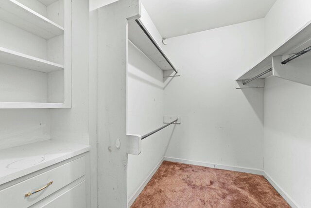 1560 NW Lee Blvd, Orangeburg, SC 29118 - walk in closet with light carpet