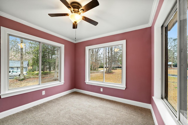1560 NW Lee Blvd, Orangeburg, SC 29118 - carpeted spare room featuring baseboards, plenty of natural light, ornamental molding, and a ceiling fan