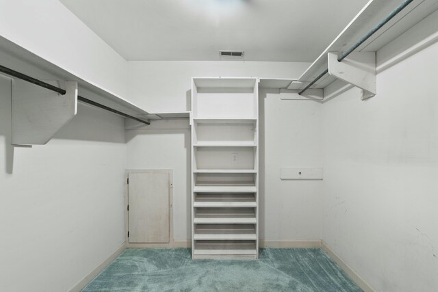 1560 NW Lee Blvd, Orangeburg, SC 29118 - spacious closet with visible vents and carpet