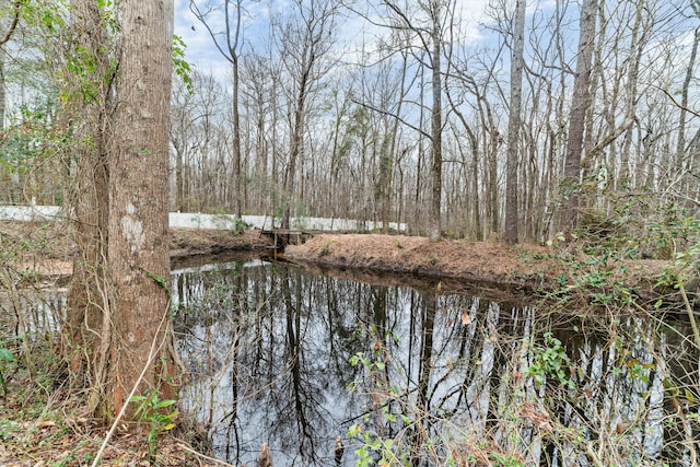 1560 NW Lee Blvd, Orangeburg, SC 29118 - view of water feature featuring a view of trees