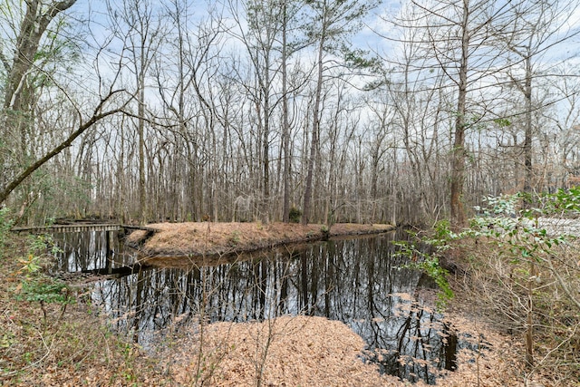 1560 NW Lee Blvd, Orangeburg, SC 29118 - water view featuring a view of trees
