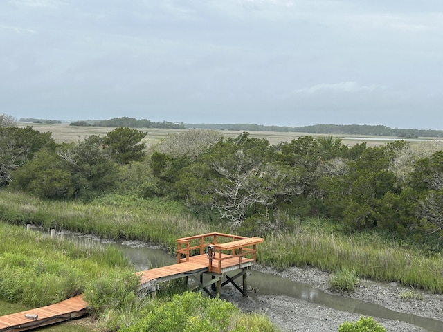 1736 E Ashley Ave, Folly Beach, SC 29439 - view of community featuring a dock