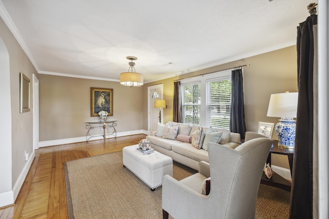 647 Ellis St, Mount Pleasant, SC 29464 - living room with wood finished floors, crown molding, and baseboards