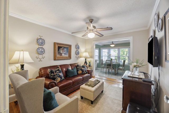 647 Ellis St, Mount Pleasant, SC 29464 - living room with a ceiling fan, ornamental molding, light wood-type flooring, and a textured ceiling