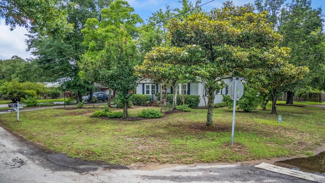 647 Ellis St, Mount Pleasant, SC 29464 - obstructed view of property featuring a front yard