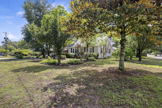 647 Ellis St, Mount Pleasant, SC 29464 - view of green lawn