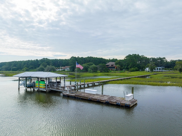 dock area with a water view