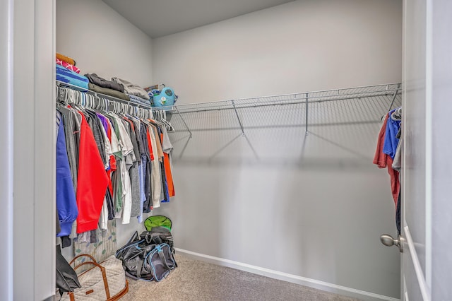 spacious closet featuring carpet floors