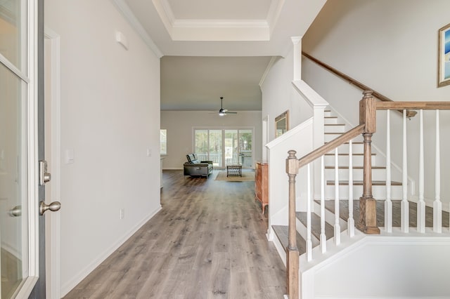 foyer featuring light hardwood / wood-style floors, a raised ceiling, ceiling fan, and ornamental molding