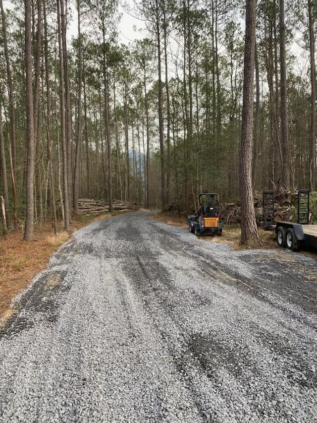 6774 Spring Grove Rd, Adams Run, SC 29426