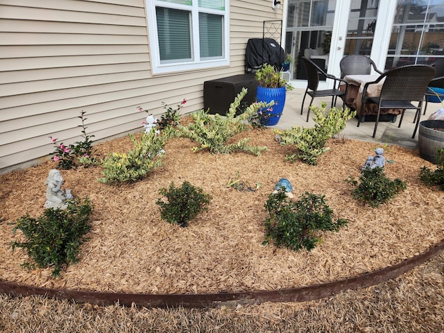 view of yard featuring a patio