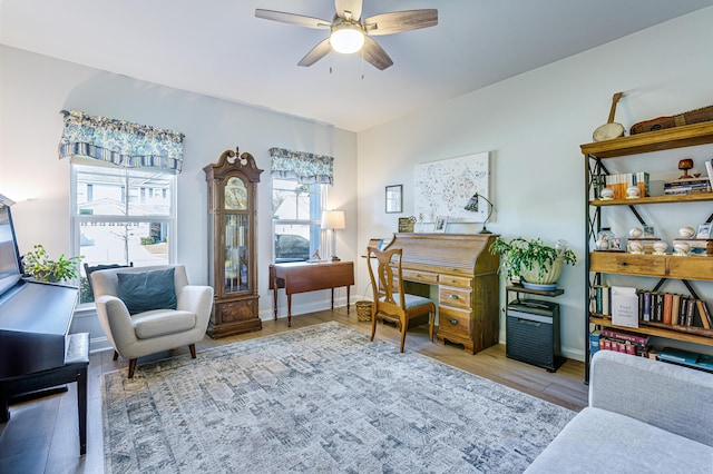 office with ceiling fan and light hardwood / wood-style flooring