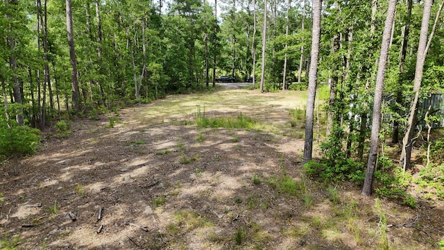 258 Lazy Acres Loop, Summerville, SC 29483
