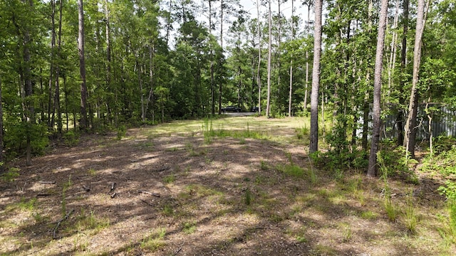 258 Lazy Acres Loop, Summerville, SC 29483