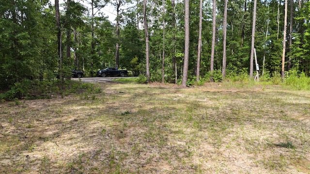 258 Lazy Acres Loop, Summerville, SC 29483