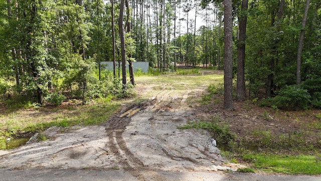 258 Lazy Acres Loop, Summerville, SC 29483