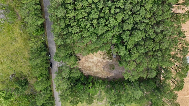 258 Lazy Acres Loop, Summerville, SC 29483