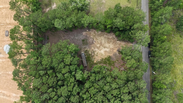 258 Lazy Acres Loop, Summerville, SC 29483