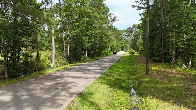 258 Lazy Acres Loop, Summerville, SC 29483