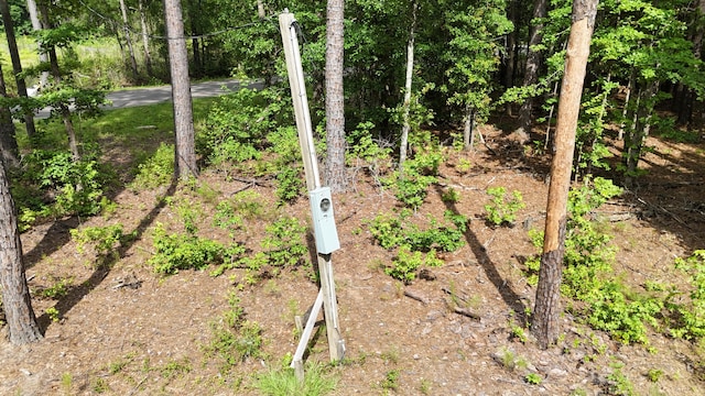 258 Lazy Acres Loop, Summerville, SC 29483