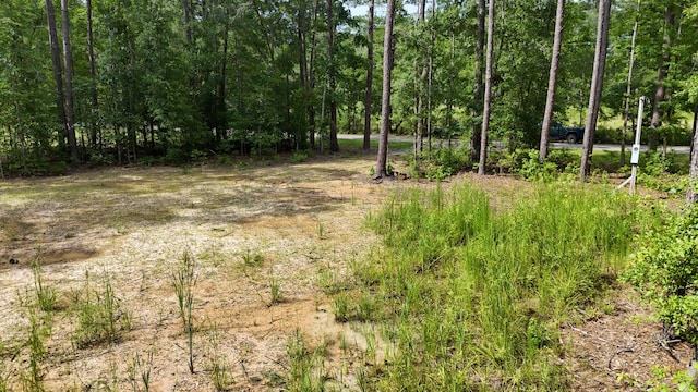 258 Lazy Acres Loop, Summerville, SC 29483